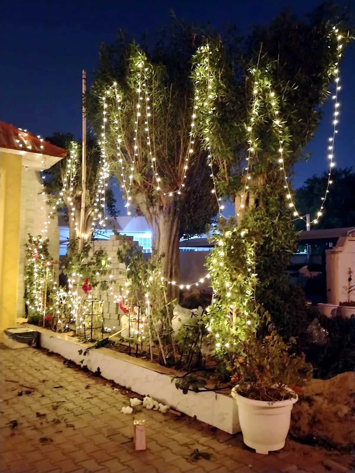 Christmas tree, hotel entrance