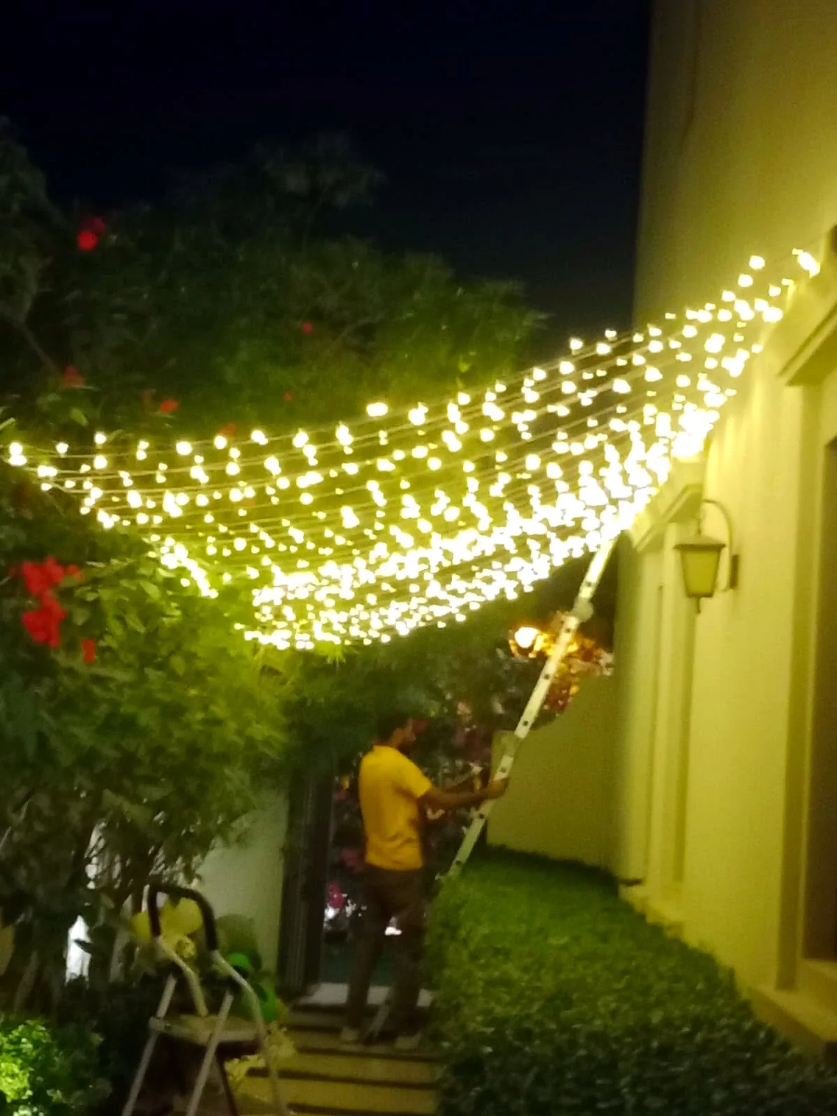 Our crew installing garden string lights