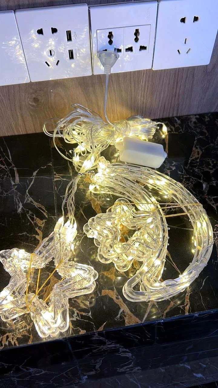Palm tree wrap lighting, entrance