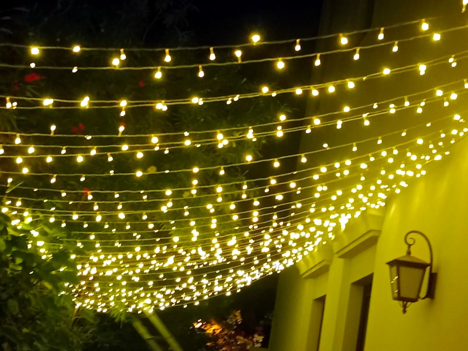 Tree canopy string lighting, private garden